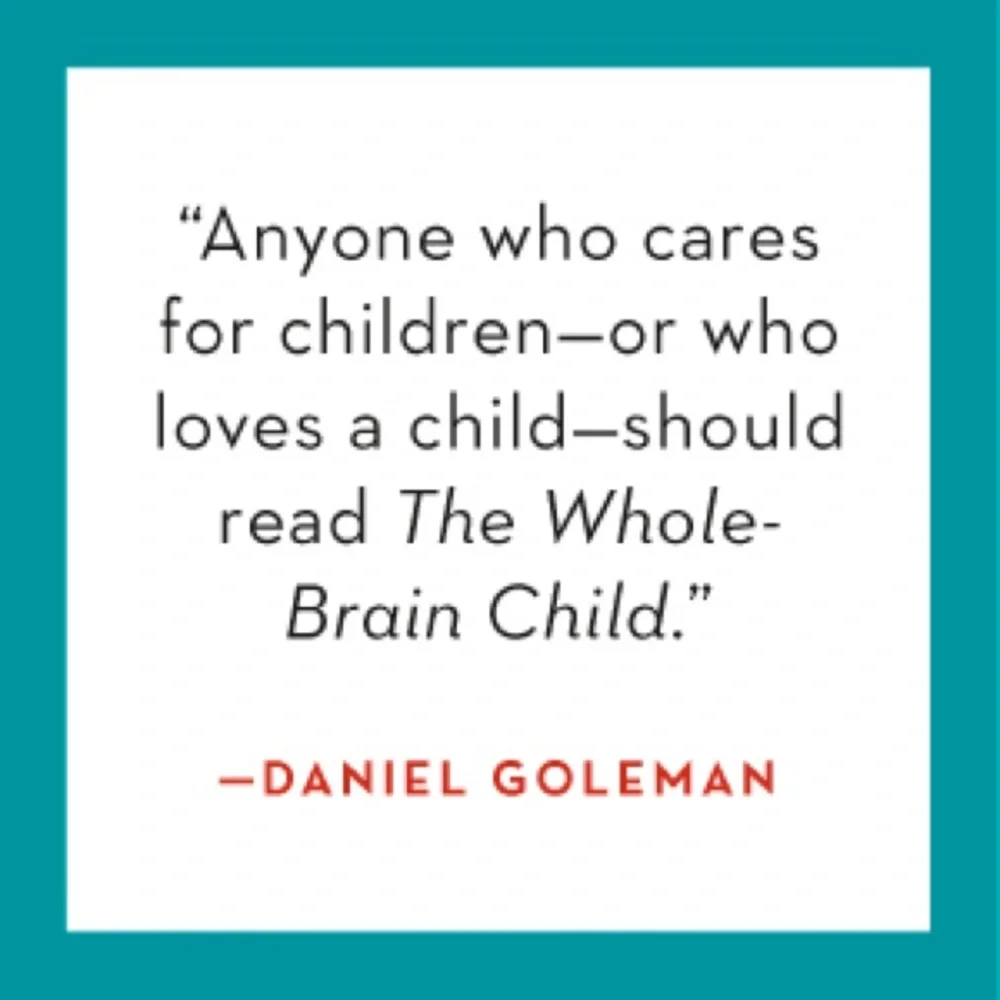 The Whole-Brain Child - Paperback - Parenting Book - Picture 2 of 2